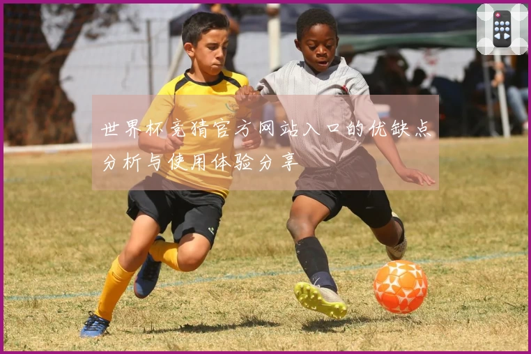 世界杯竞猜官方网站入口的优缺点分析与使用体验分享