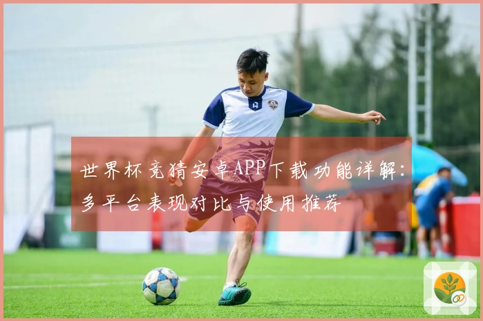 世界杯竞猜安卓APP下载功能详解：多平台表现对比与使用推荐