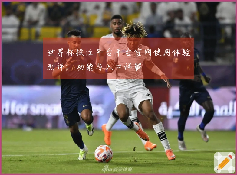 世界杯投注平台平台官网使用体验测评：功能与入口详解
