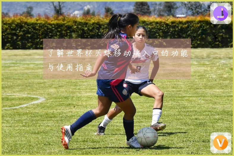 了解世界杯买球移动端入口的功能与使用指南