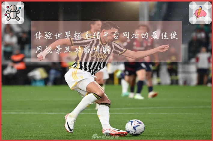 体验世界杯竞猜平台网址的最佳使用场景及功能详解