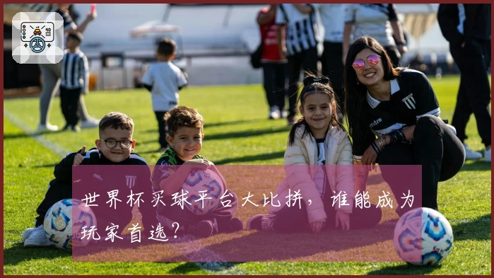 世界杯买球平台大比拼，谁能成为玩家首选？
