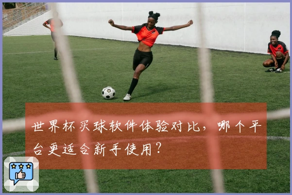 世界杯买球软件体验对比，哪个平台更适合新手使用？