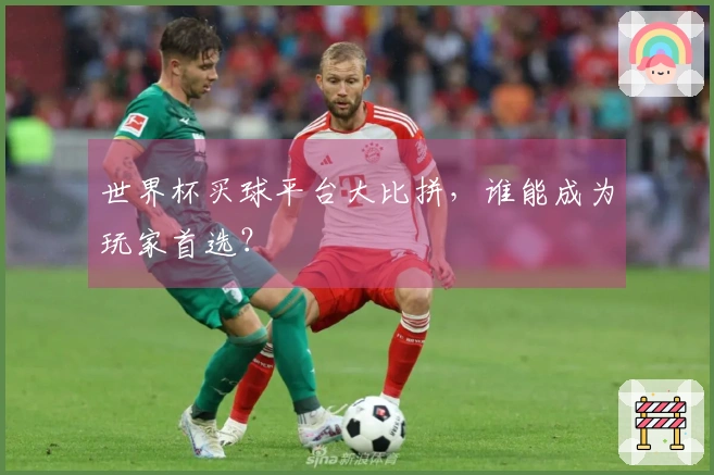 世界杯买球平台大比拼，谁能成为玩家首选？
