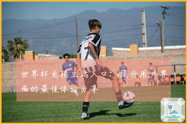 世界杯竞猜主站入口：提升用户界面的最佳体验分享