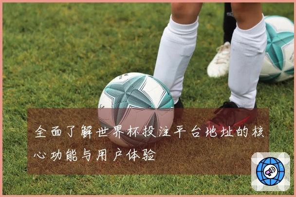 全面了解世界杯投注平台地址的核心功能与用户体验