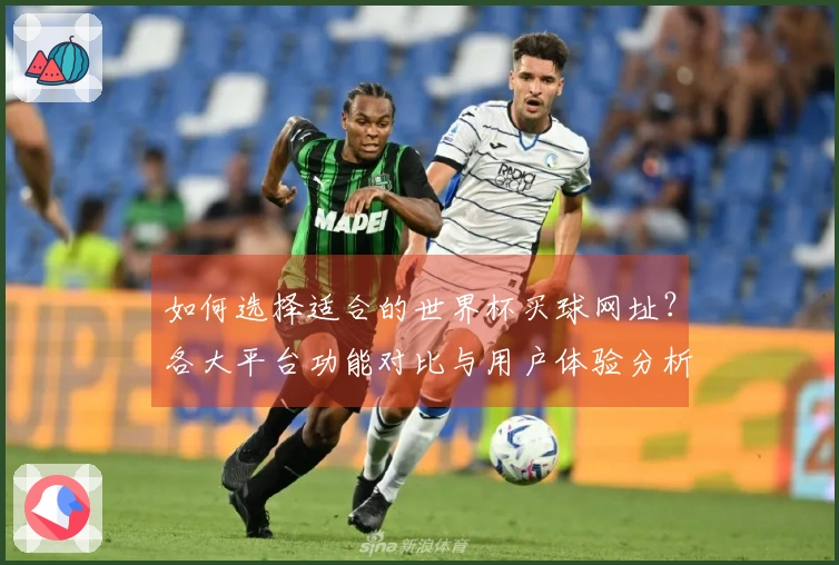 如何选择适合的世界杯买球网址？各大平台功能对比与用户体验分析