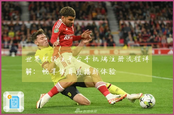 世界杯投注平台手机端注册流程详解：畅享体育直播新体验