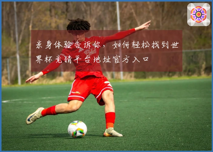 亲身体验告诉你，如何轻松找到世界杯竞猜平台地址官方入口